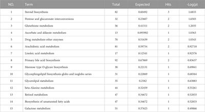 Integrated transcriptomic and metabolomic profiles reveal the protective mechanism of modified Danggui Buxue decoction on radiation-induced leukopenia in mice